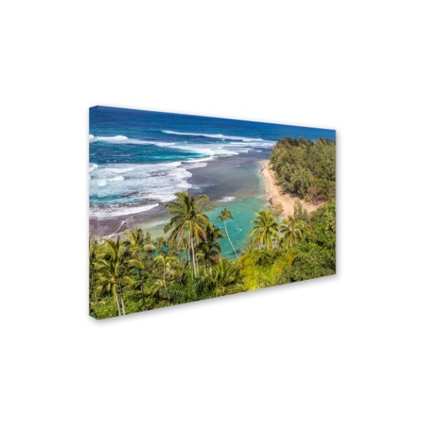 Pierre Leclerc 'Tropical Paradise' Canvas Art,30x47